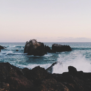 天堂禾欧美城网站
