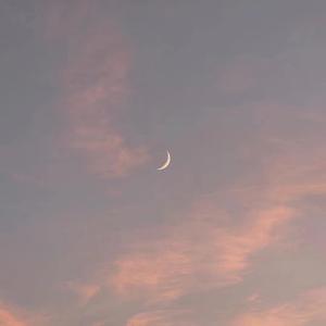 天堂禾欧美城网站
